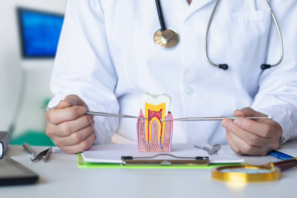 Best Mobile Emergency Dentist in Clio, MI